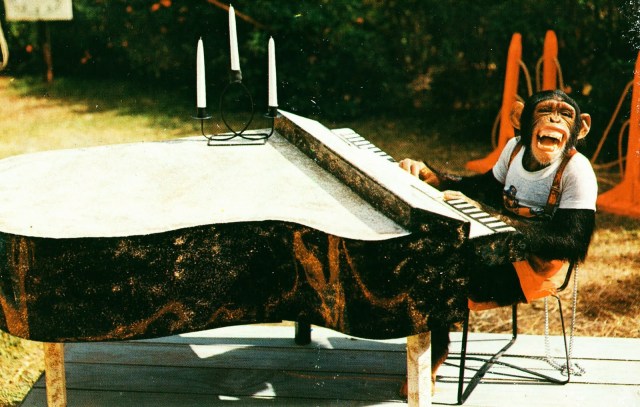 A happy monkey yesterday